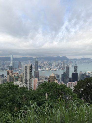 adf74268-2254-43fc-a9cb-eb2547e4fdad