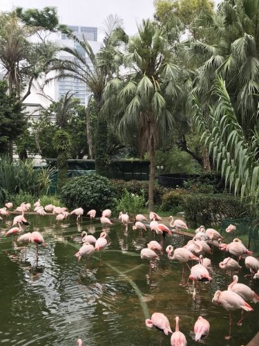 b9614e07-90d6-44b0-8c6c-b4a9d3eb50dd