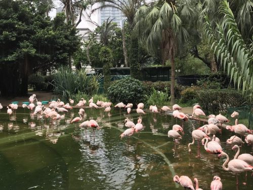 e564ae6a-ee1d-4293-8fee-c2e359be34e6