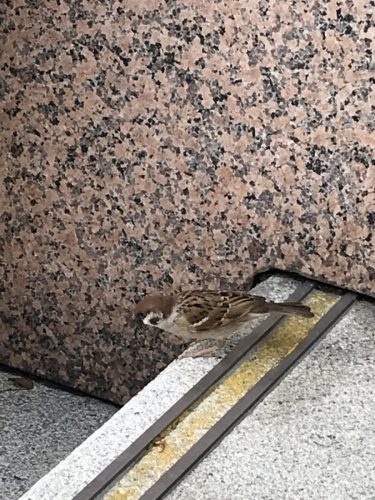 fce5d49f-71da-418f-aca8-0cf324774156