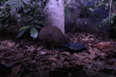 0054C127-9E72-4393-87E4-6BBD21293767