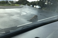 02E91629-02D1-4AA1-9F08-9164A8A98E1F