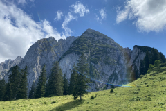 06275C97-1B82-4CA9-B93D-BC504CD328B9