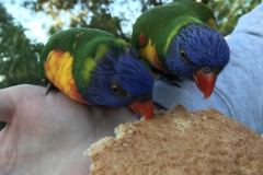 08FDDB1D-3C1D-4944-AE37-C0EB92E100A7