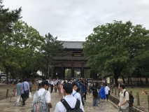 0A8B00BC-CDC3-4ECF-9387-456A7FC52E12