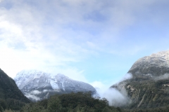 0C2F8432-BDCA-44B2-8F8A-9EBE9E3B28F8