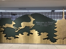 0D5FDA6C-B757-4D2B-968C-3B6D11FFFE09