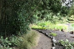 0E4B8E2A-811C-4D06-B08E-8B55241E5B76