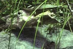 103E78F2-6DB0-4840-A9DA-6B4C9FAF611A