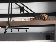 10F64218-7AC5-411E-9112-16D3FA8C68C2