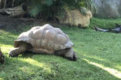 1533075F-D4B0-4C6E-841B-44AFDBE9A0A0