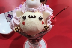 16DB9C4B-F9A0-439C-837E-674532AD0282