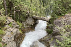 18294132-455E-4D86-8A83-0659C091AC19