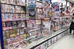 18DAE13C-76F9-4D3A-8512-FE5ED0301AED