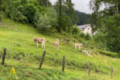 1A458123-060D-4D0D-8896-E42B6EA1CE56