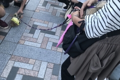 1A54CBDE-199C-420B-B465-42E7AB3BB2DD