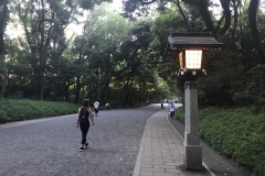 1AB585B0-363A-4029-9294-4E0E0563E52A