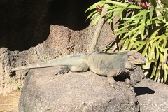 1CEE163E-0C8A-43F9-8549-7D7041770231