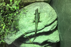 1E1F1CC8-0ABB-4BC6-96FC-873C5A8C802C