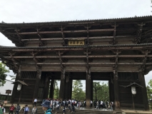 1FC42D18-E7B3-419C-919F-D9A6CEFA8E57