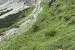 21254DA4-6E6F-426B-8DFA-3E0F6CEEA61D