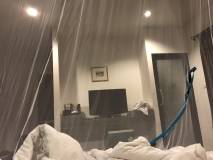 22C00EEC-F5A9-4D75-A6D1-BFFB10F3810B