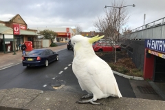 234193FE-95CB-4DDD-BE31-7FCC6BED53B9