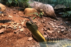 2391DE04-8C8D-42A2-9036-723BAE06CF0B