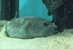 28BB409A-AE58-432A-B6A5-9F76B1E44BCB