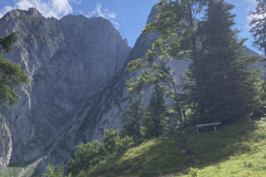 2AE0A882-282D-491F-A093-560AD791D989