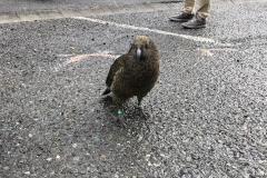 2AF11C42-6BF7-470E-BFD3-B4181DE6941A