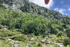 2E80DBC1-ADBF-445D-AE24-DBBD4B048EEC