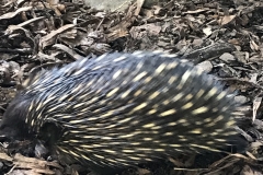 30261291-361B-4C02-82AF-CAF510601FAE