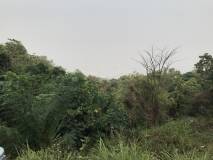 3135F6B6-AACB-4C87-AA70-3C57DB561721