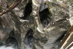 31D0BCBD-DA31-4BDE-8BA0-06AF298F92C8