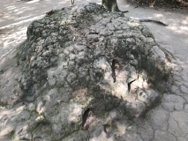 327F1B21-7F47-4720-84EF-ED9E7D533FA5