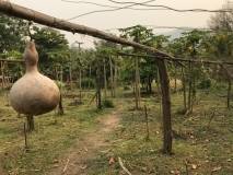 328F5FEF-E999-4B8B-B4BD-C24D35F52E32