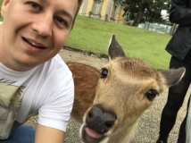 34EB005C-E147-4265-8F54-291530105E04