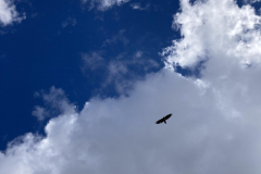 3500FE67-22F1-44F0-A050-FF17EDB99D01