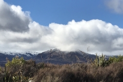 37E81EE6-77CD-44B5-A0F6-677896409274