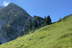 417784C6-244F-4F8A-ADFE-74C2D040D80C