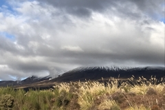 47388842-C410-4254-9BD7-AECA04DEDB42