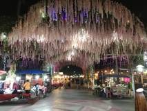 478CA28D-E1B9-4885-A6BF-A1C6DE7DC6A7