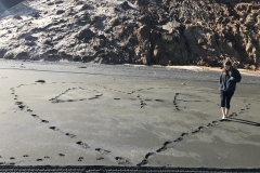 4833D36A-F47F-4D4D-94D6-AAD6C9F88A05