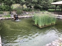 4AF5927A-CBA8-4EF6-8895-1A04983B4197