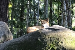 4BE0E6AE-7D57-46B2-A6AA-EEF9E8525386