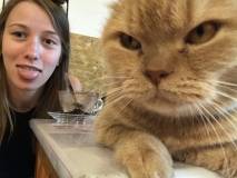 4C0256DC-E486-42F3-94F3-8F8D4940F268