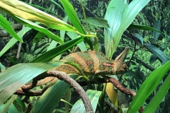 4C17A15C-1022-48AD-B584-4785A7F54F13