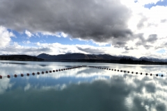 4E652C78-EBC9-4E13-90C3-E9F454456F2D