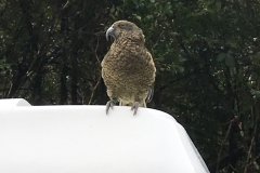 4E966D59-7CB1-4C1A-878E-CCF5EA1A2C37